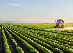 Azienda agricola
