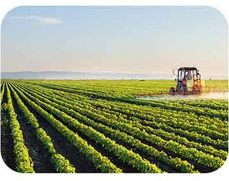 Sistema solare in un’azienda agricola