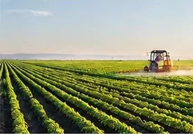 Azienda agricola